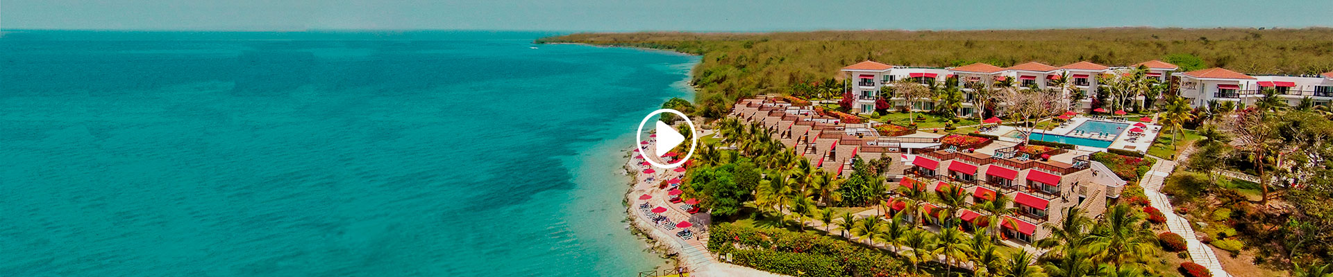 Description of the image