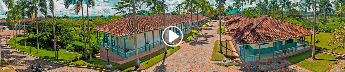 Description of the image