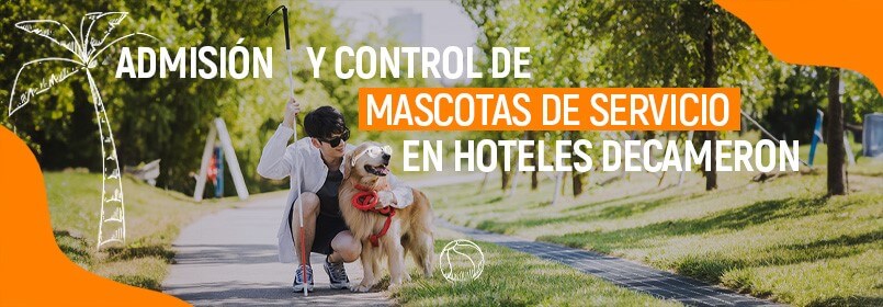 perros de servicio y lazarillo en hoteles decameron