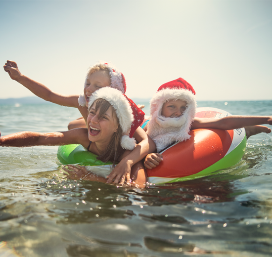 Celebra Navidad y Año Nuevo