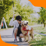 Service or guide dogs in Decameron Hotels