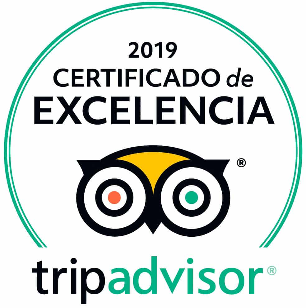 Certificado de Excelencia 2019